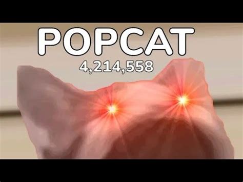 popcat 콘솔 하는 법